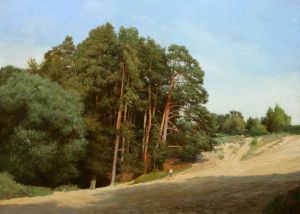 Солотча. Лысая гора