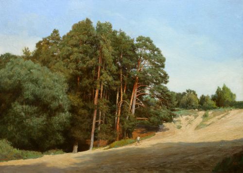 Солотча. Лысая гора